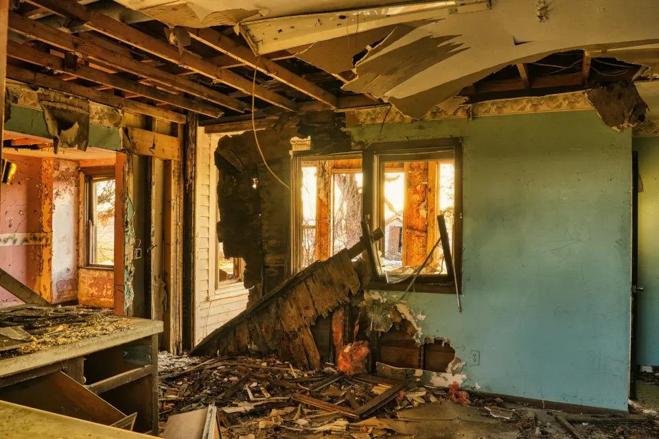 Macon's Leading Mold Removal Company You Can Trust — Macon, GA